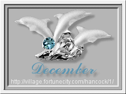 Dolphin_December